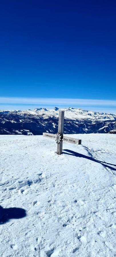 Ferienwohnungen Bergpanorama Bad Mitterndorf Bagian luar foto