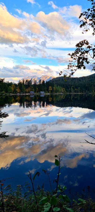 Ferienwohnungen Bergpanorama Bad Mitterndorf Bagian luar foto