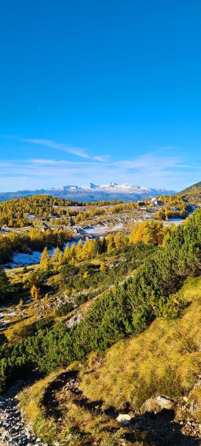 Ferienwohnungen Bergpanorama Bad Mitterndorf Bagian luar foto