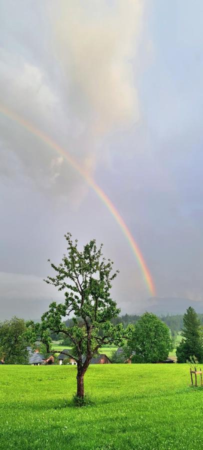 Ferienwohnungen Bergpanorama Bad Mitterndorf Bagian luar foto